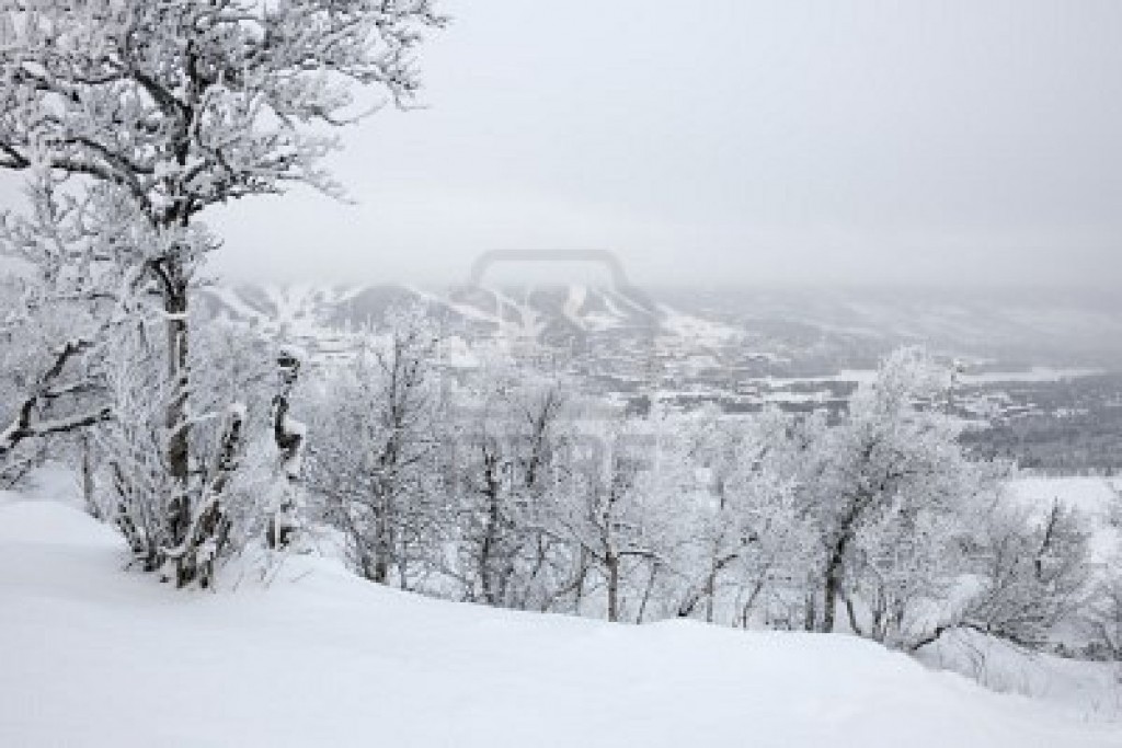 3 muertos en el noroeste de EEUU por la primera gran nevada