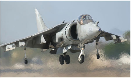 harrier