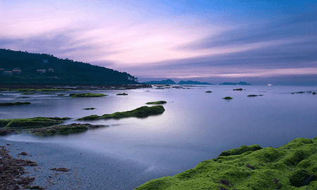 La ría de Vigo