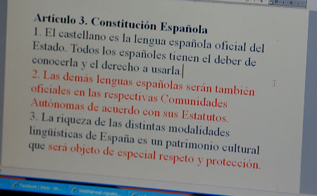 Constitució