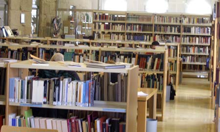 Máis de 3.500 persoas visitaron a web da biblioteca.