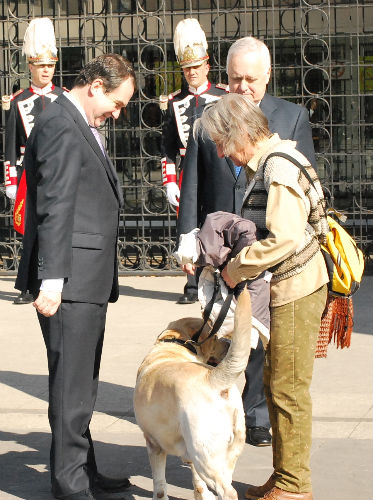 Perro alcalde/Tresyuno Comunicación