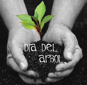 dia-del-arbol