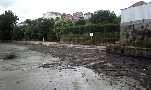 A praia de Cesantes.