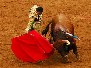 toros