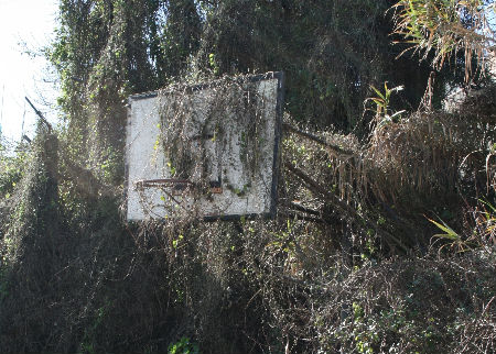 Las dotaciones deportivas de la ETEA están en un estado de abandono absoluto