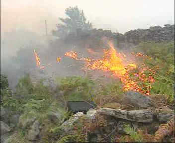 incendios-forestales