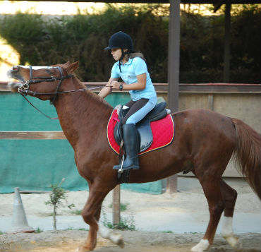 Caballo 2/Tresyuno Comunicación