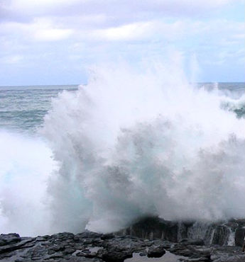 Olas