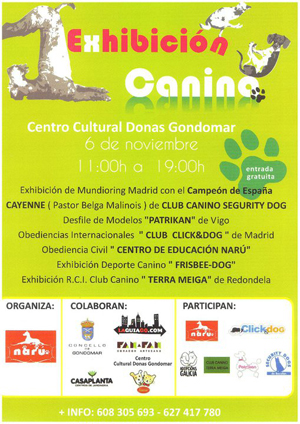 exhibicion-canina