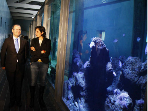 acuario museo del mar