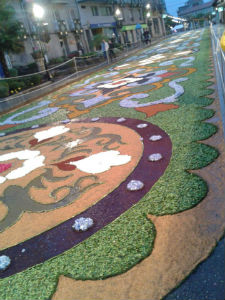 Alfombra de flores en Ponteareas-Cortesía de Marcos López Vieira