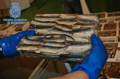 Sardinas congeladas