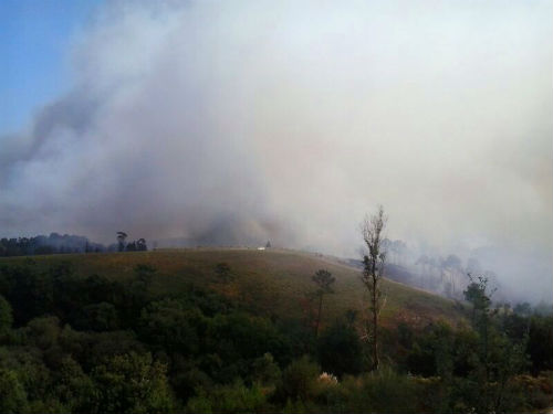 Fuego-As-Neves-3