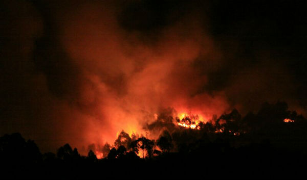 IMG-20130829-WA0002