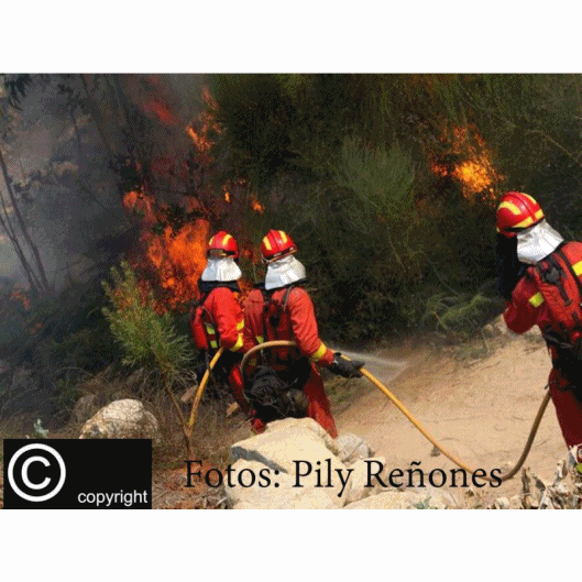 Incendio OIA