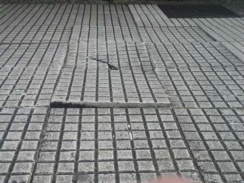 Acera2