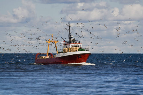 2011-10-13-guia_mar12
