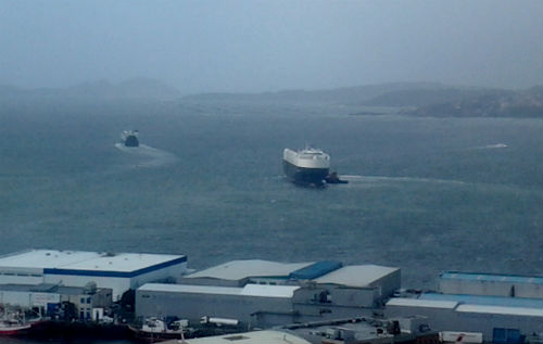 Barcos
