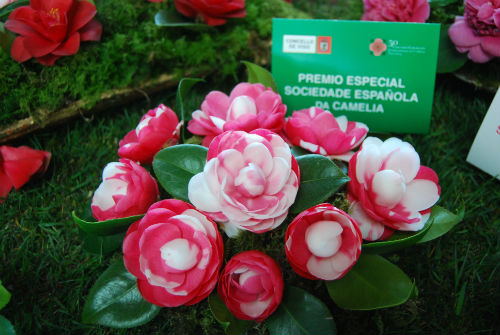 Participante 2