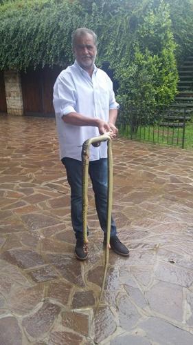 Roberto Calderoli serpiente