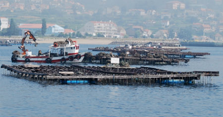 Batea de la Ría de Vigo/Tresyuno Comunicación