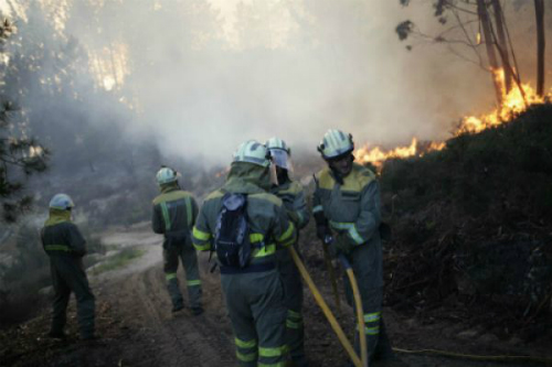 Centos de galegos estiveron toda a fin de semana e seguen este domingo, loitando contra o lume nas catro provincias galegas