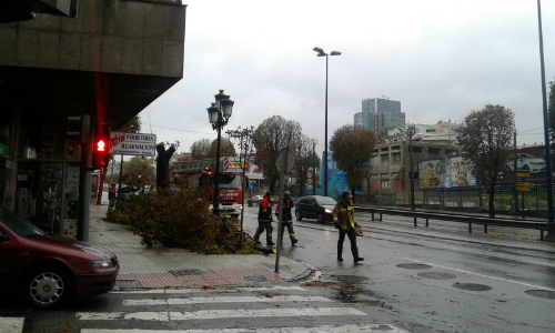 Árbol caído en la Gran Vía, este domingo por la mañana