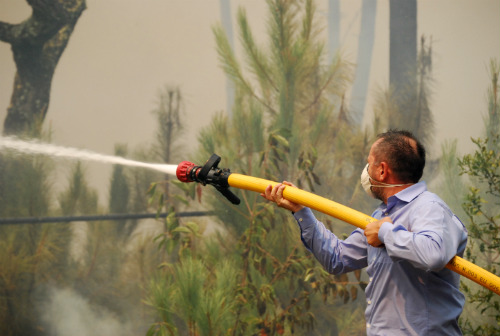 Máis de 20 hectareas queimadas nun incendio activo en Ribadavia