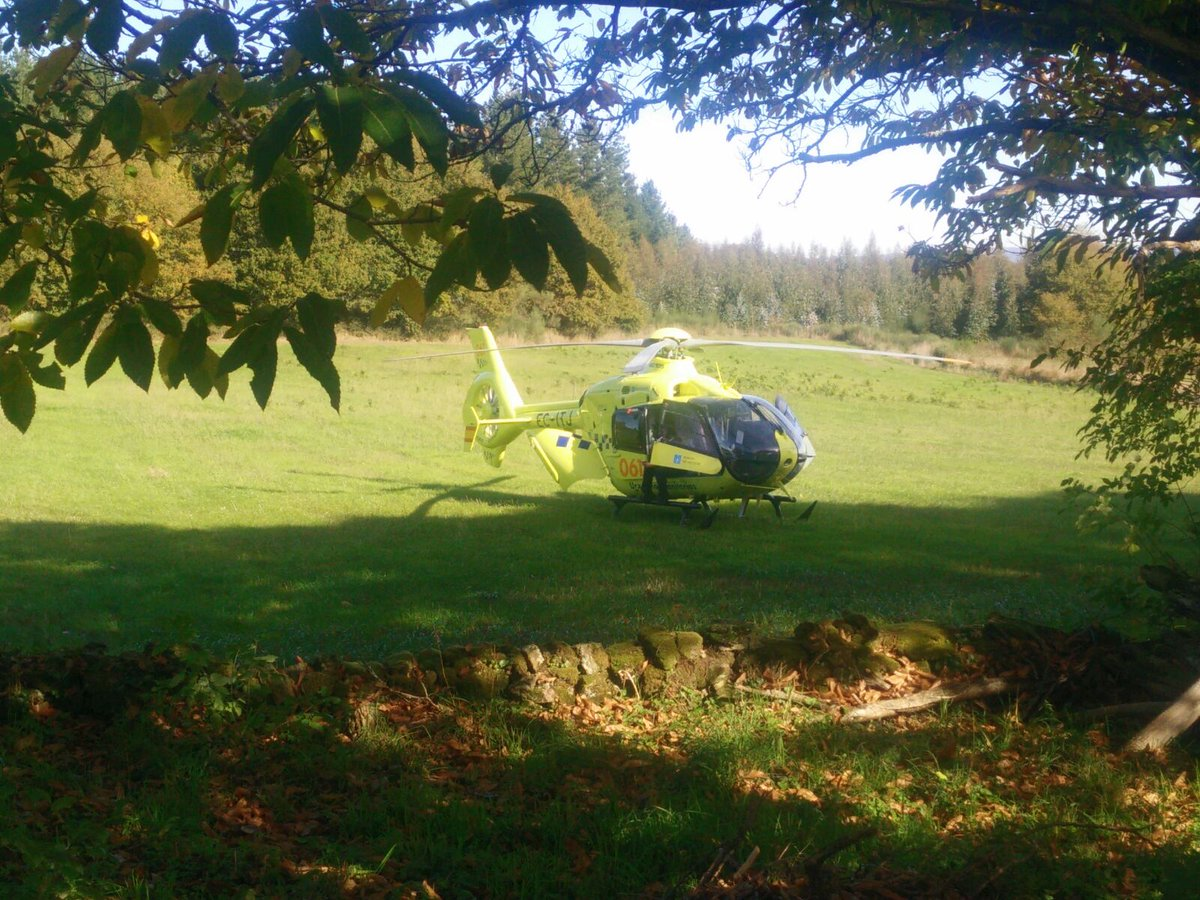 Muere al caerle encima un árbol que estaba talando