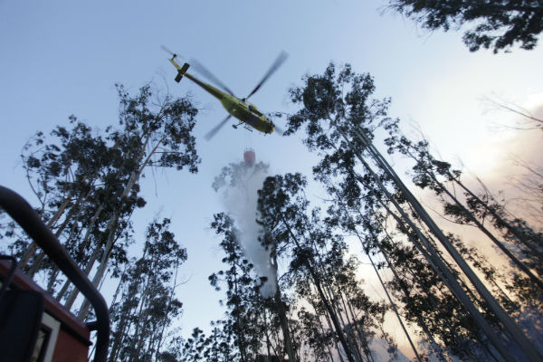 Os grandes lumes declarados en Galicia arrasan xa preto de 4.000 hectáreas
