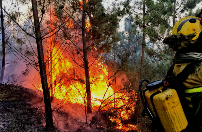 Aparece el cadáver de un hombre tras sofocar un fuego en A Estrada