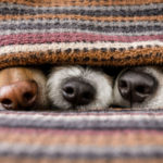 El sábado volverán a subir las temperaturas...y también volverá la lluvia