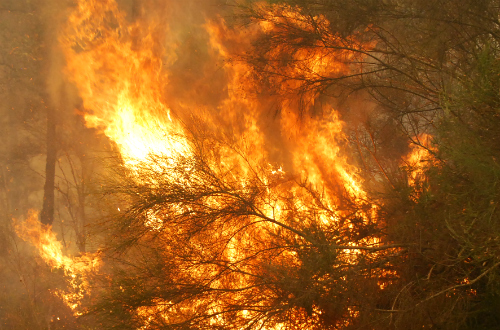 Extinguido o incendio de Salvaterra tras queimar 352 hectáreas