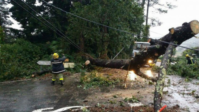 O 112 Galicia rexistrou máis de 240 incidencias polos efectos do temporal