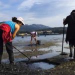 Elsa Vázquez, cientifica da UVigo, alerta de que o cambio climático está a afectar á produtividade do marisqueo en Galicia