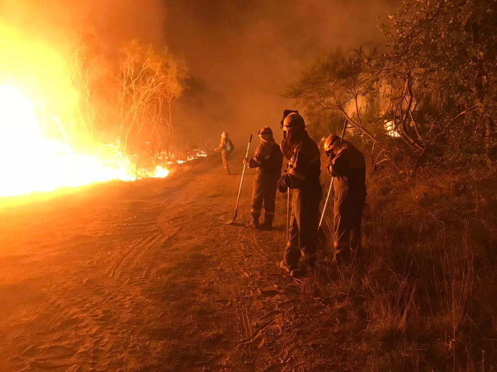 O lume arrasa xa 30 hectáreas en Ribadavia