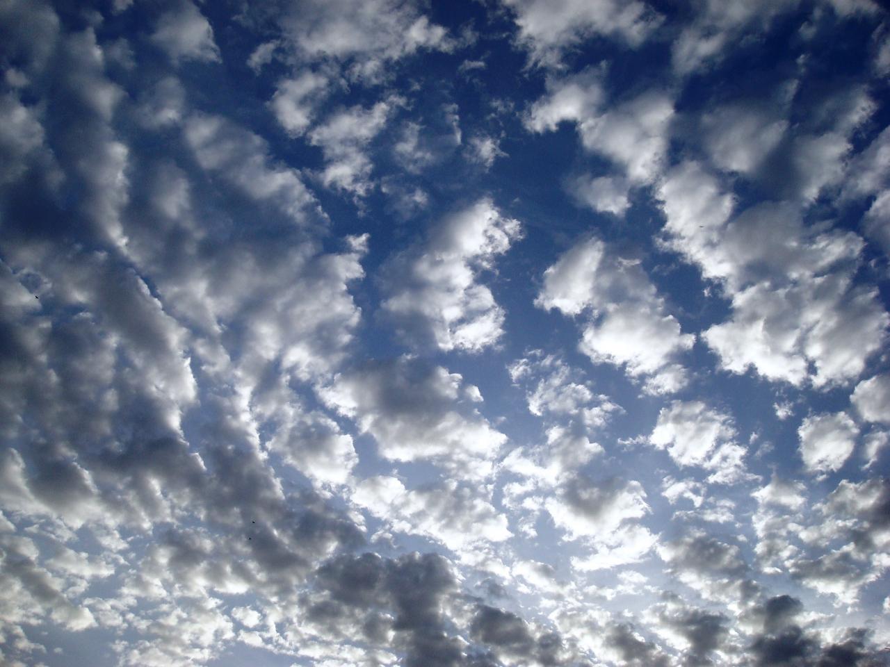 Cielos cubiertos y chubascos desde el lunes