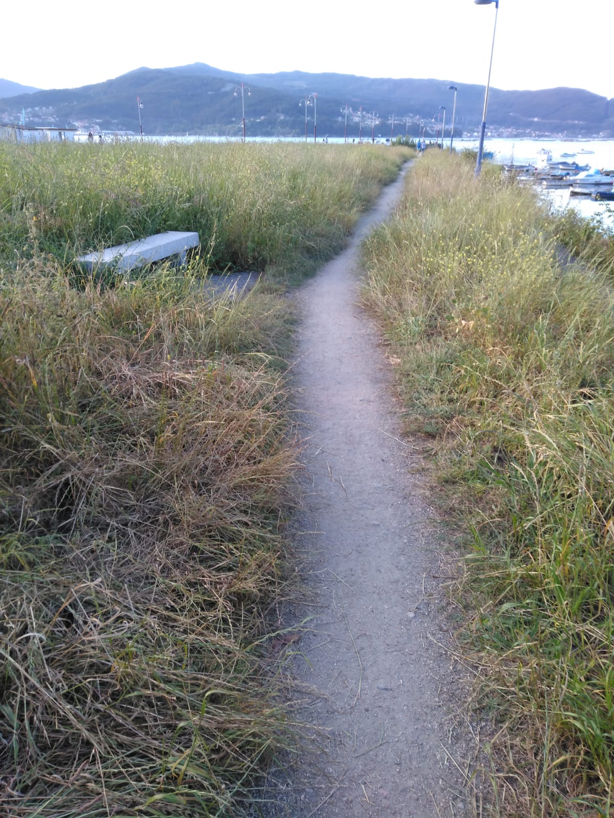 Etea Vigo abandono