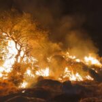 El Gobierno habilita vías para que los afectados por los incendios forestales, soliciten ayudas y subvenciones