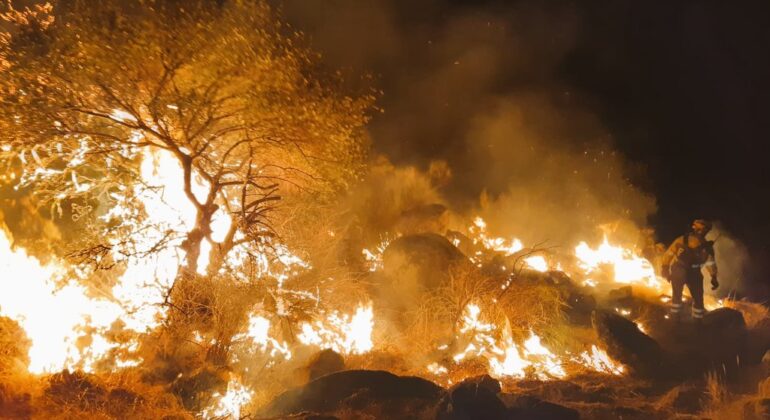 El Gobierno habilita vías para que los afectados por los incendios forestales, soliciten ayudas y subvenciones