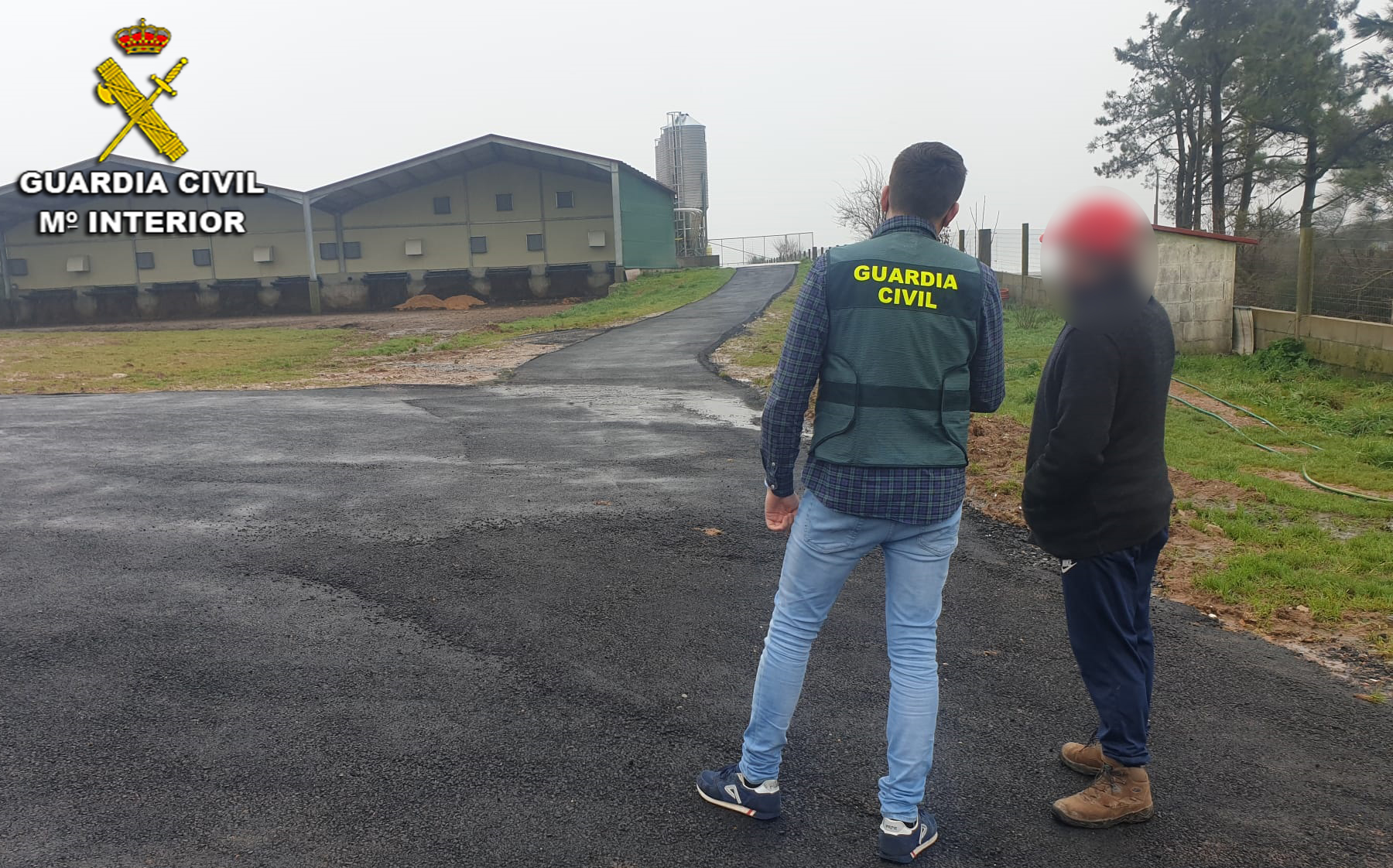 Banda especializada en el 'timo del asfalto' /Guardia Civil