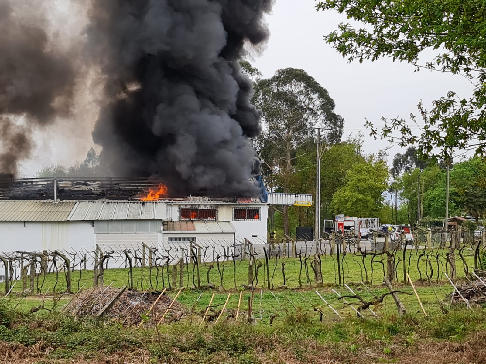 Ponteareas, incendio en una nave de pescado