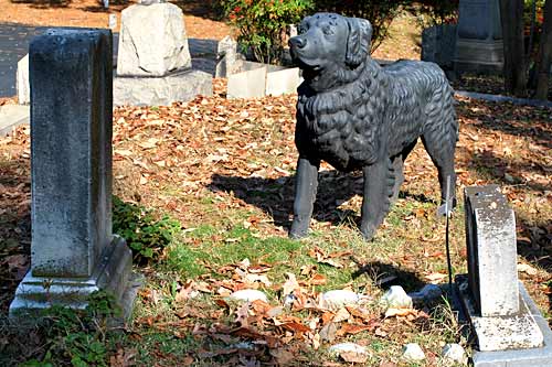 Nuevo cementerio de mascotas en Vigo