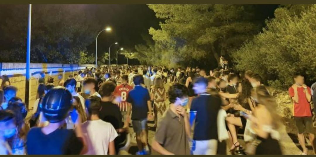Megabrote Mallorca