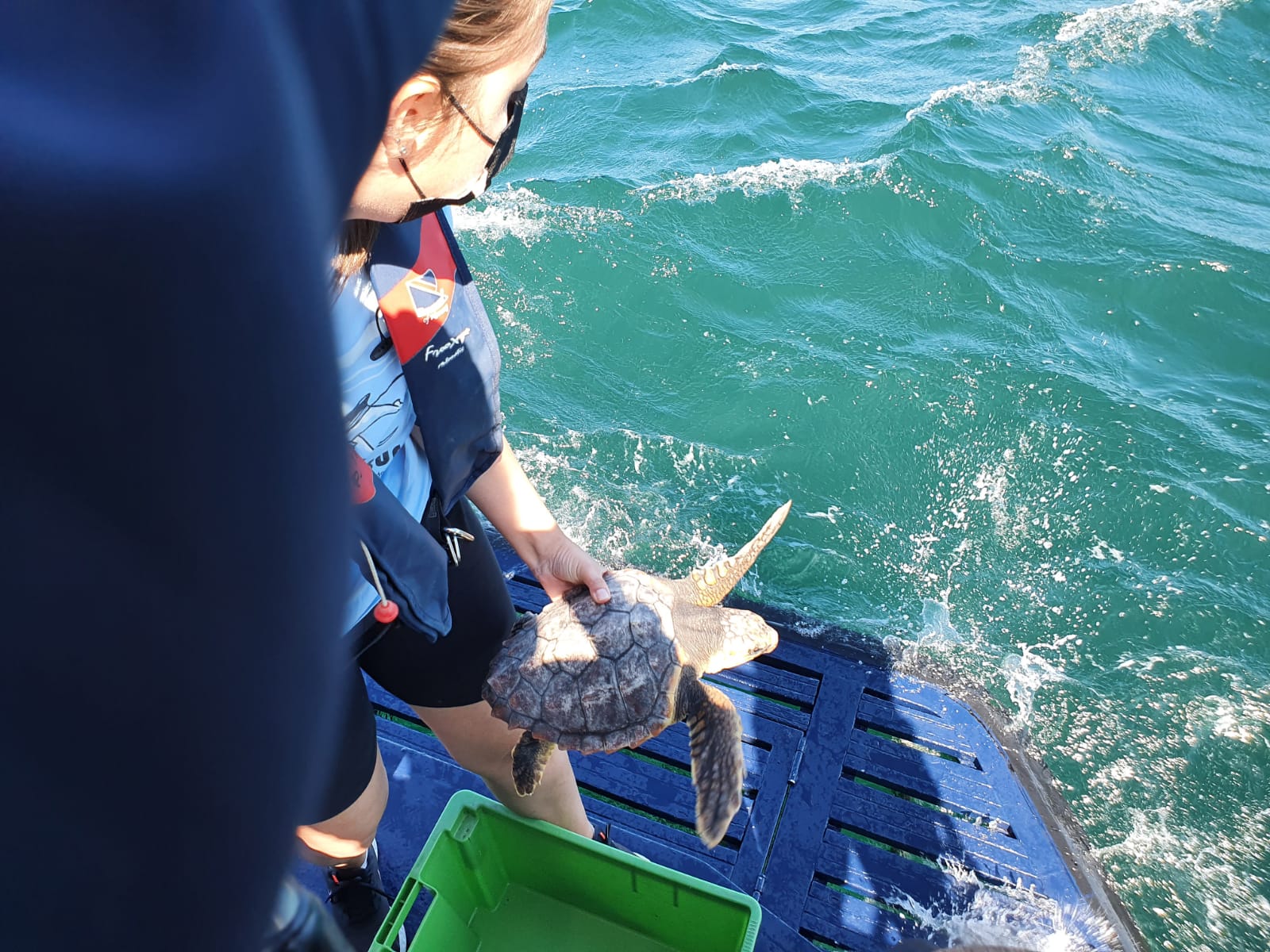 A tartaruga atopada en abril en Cariño, volve ao mar