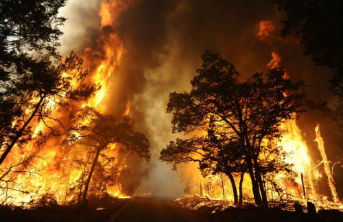 Estabilizados los incendios de Ribas de Sil que han arrasado 1.600 hectáreas