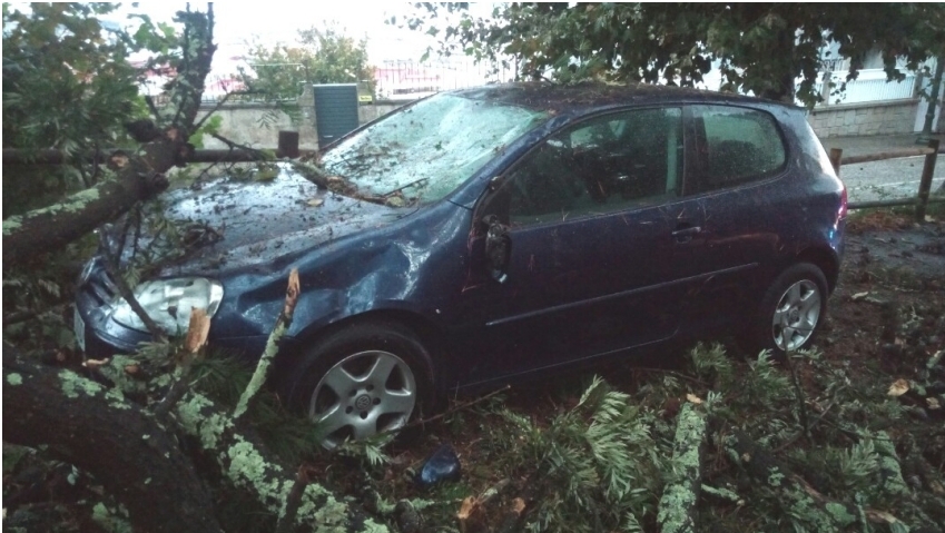 La caída de árboles causa varios daños en distintas partes de Vigo