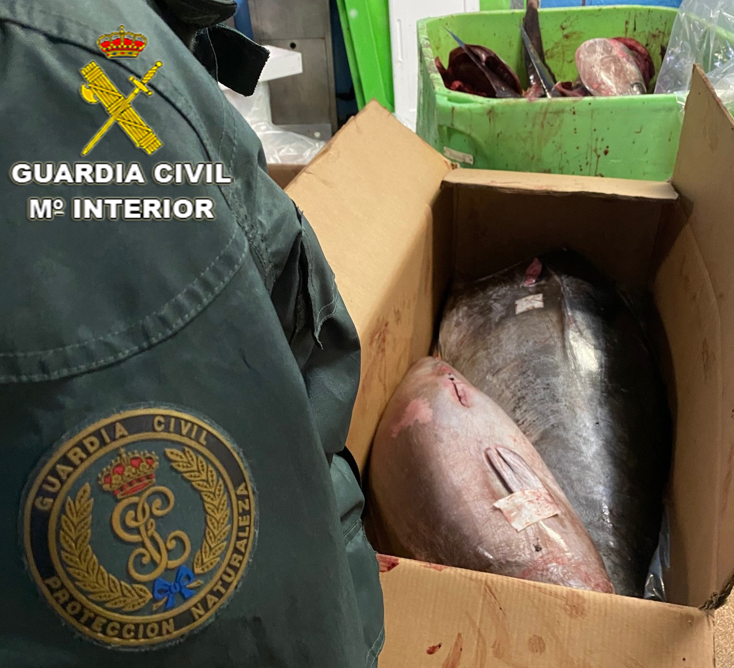Guardia Civil Seprona O Berbés
