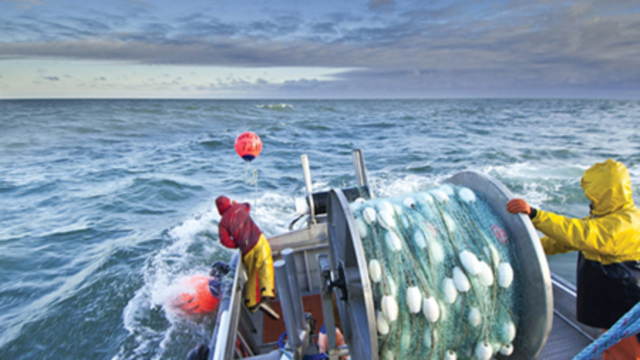 Las cuotas de pesca se fijarán deste lunes en Vigo, en la reunión de la NAFO